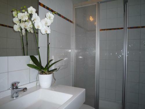 Apartamento Appartement Bergkristall