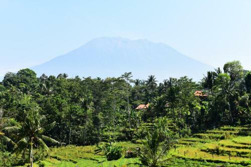 Posada Amrita Villa Sidemen