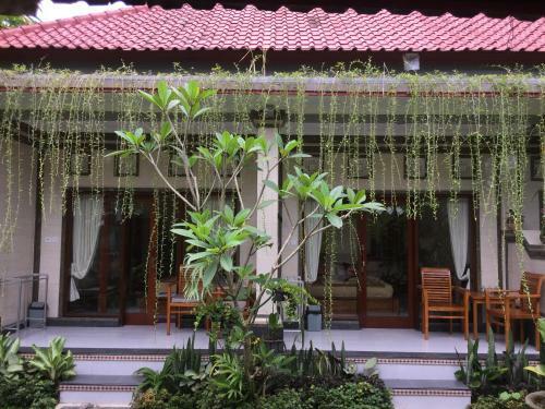 Blima Bali