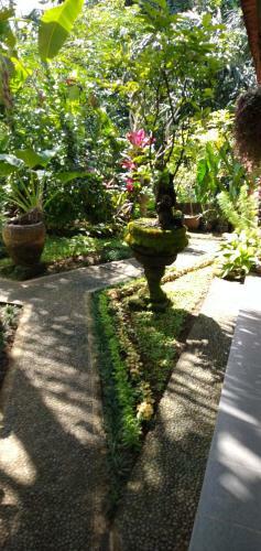 Hostal Suweta46 House