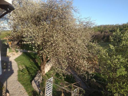 Bed & Breakfast G�rski Ogr�d