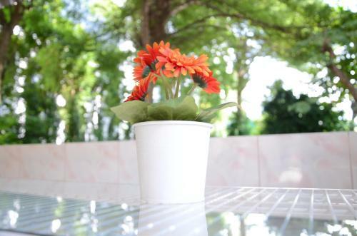 Albergue Park Avenue@huamark