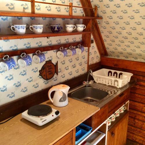 Lodge Holiday Cottage V Borov�