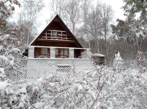 Lodge Holiday Cottage V Borov�