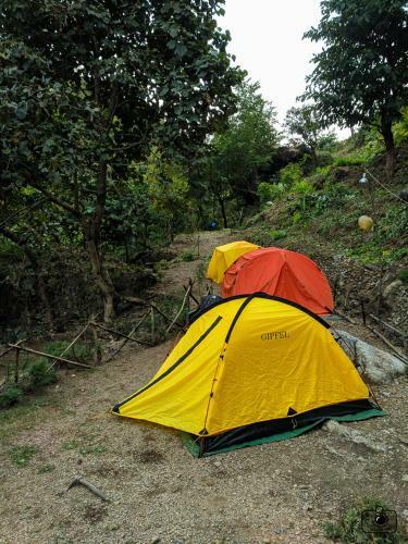 Tribe Aqua A Nature Retreat Above Neer Waterfall