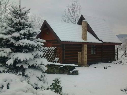 Bed & Breakfast Agroturystyka W Ogrodach