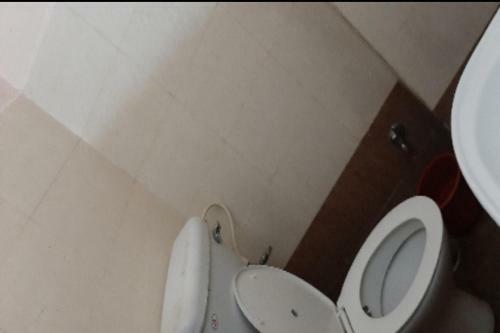 Hotel Oyo 82249 Shushma Guest House