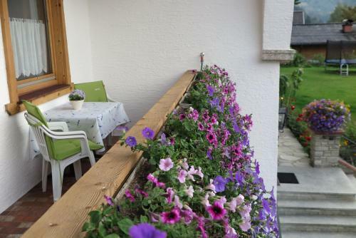 Apartamentos Haus Enzian