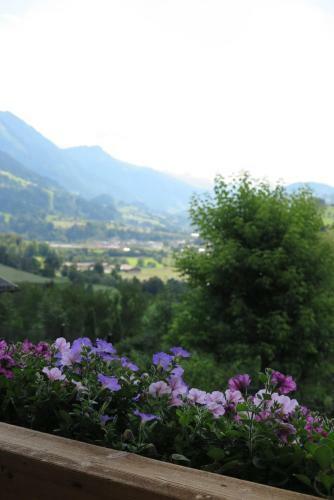 Apartamentos Haus Enzian