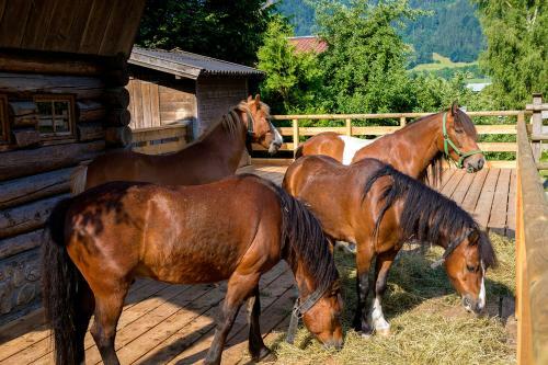 Ferienhaus / Chalet Lerch