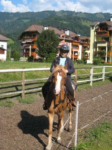 Ferienhaus / Chalet Lerch