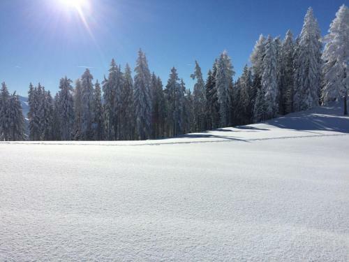 Hostal Pension Alpenblick