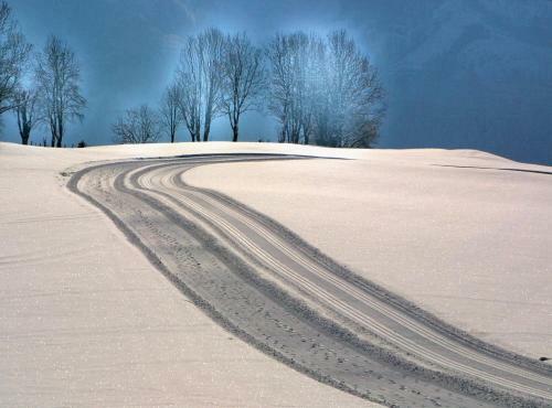 Hostal Pension Appartements �tzmooshof