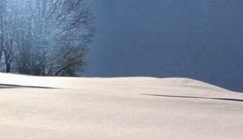 Hostal Pension Appartements �tzmooshof