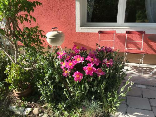 Apartamento Pension Hadanig
