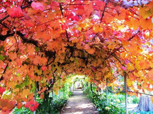 Hostal Zomerlust Gastehuis