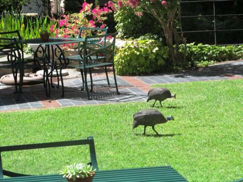 Hostal Zomerlust Gastehuis