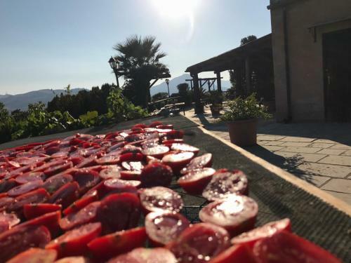 Bed & Breakfast Donna Giovanna