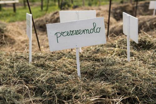 Apartamento Tenuta Santa Lucia