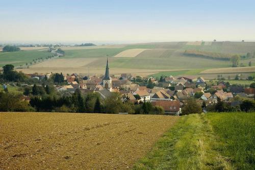 Apartamento Holiday Flats, Morschwiller