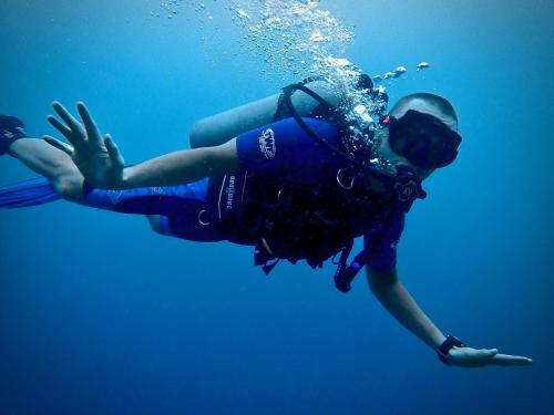 Albergue Alegria Dive Resort