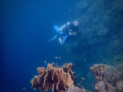 Albergue Alegria Dive Resort