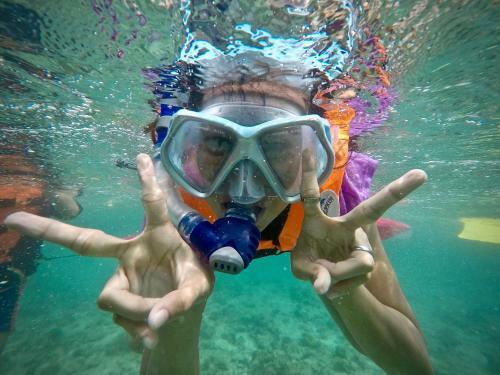 Albergue Alegria Dive Resort