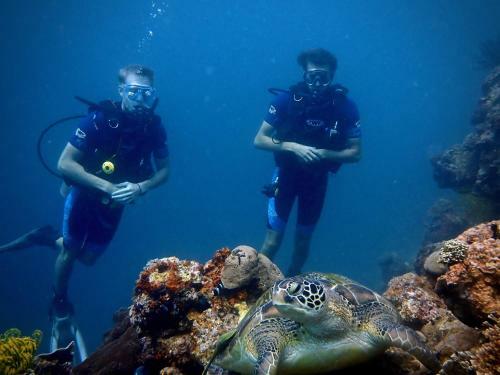 Albergue Alegria Dive Resort
