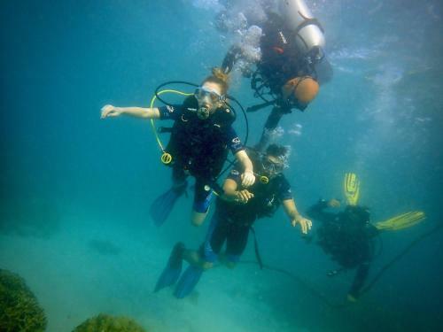 Albergue Alegria Dive Resort