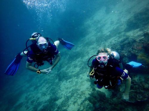 Albergue Alegria Dive Resort