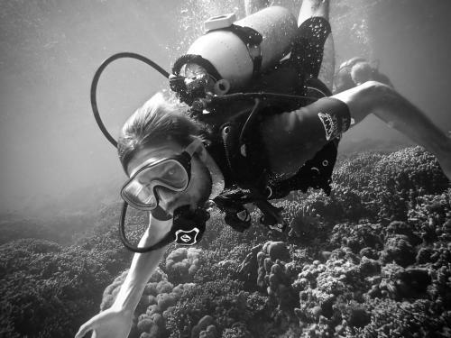 Albergue Alegria Dive Resort