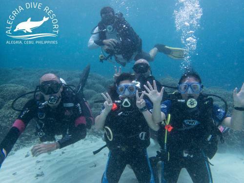Albergue Alegria Dive Resort