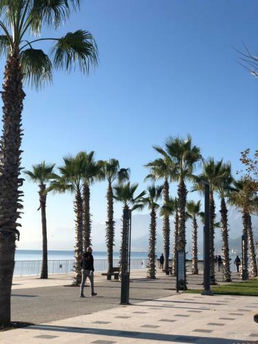 Apartamento Perfect Location And Home