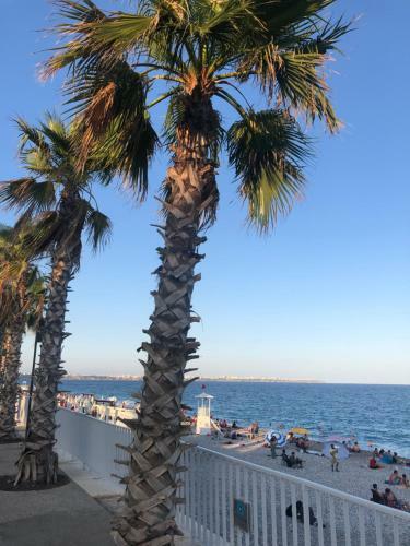 Apartamento Perfect Location And Home