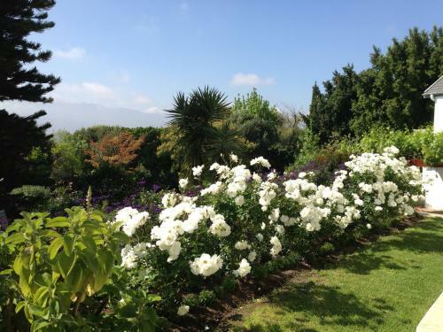Hostal Alba House Guest House
