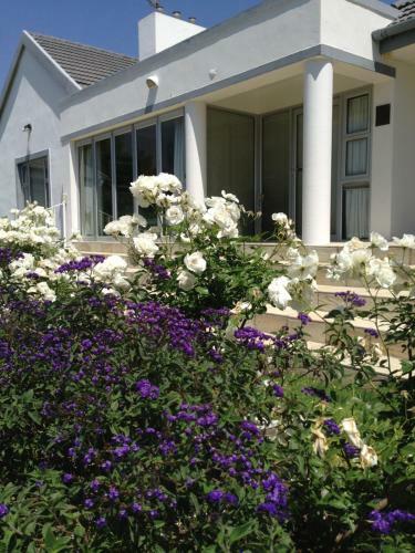 Hostal Alba House Guest House