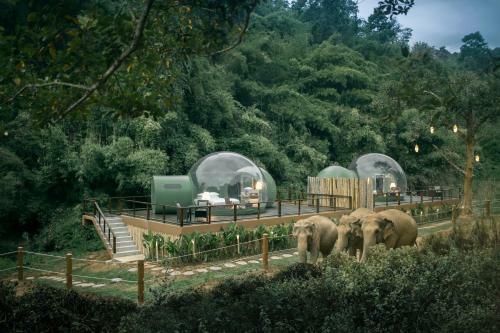 Hotel Anantara Golden Triangle Elephant Camp & Resort