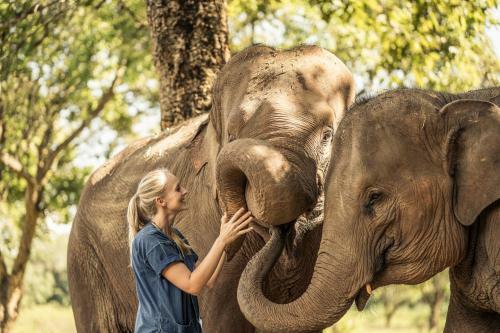 Hotel Anantara Golden Triangle Elephant Camp & Resort