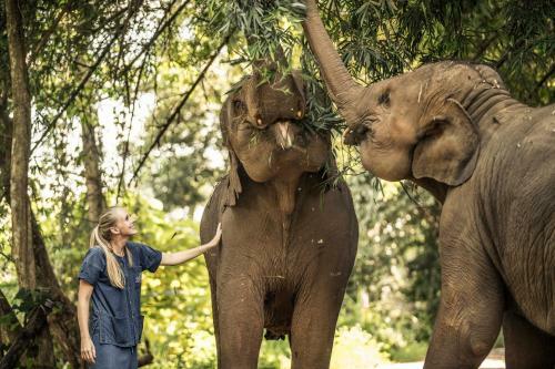 Hotel Anantara Golden Triangle Elephant Camp & Resort