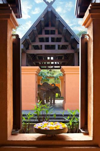 Hotel Anantara Golden Triangle Elephant Camp & Resort