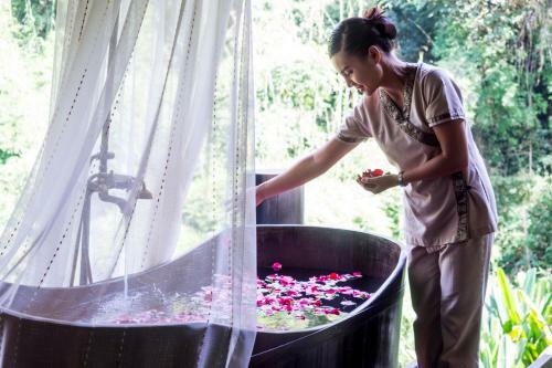 Hotel Four Seasons Tented Camp Golden Triangle