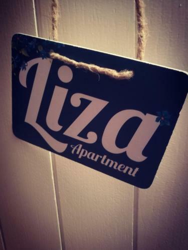 Liza's Downtown Apartment