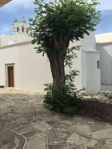 Traditional House In Damarionas Village