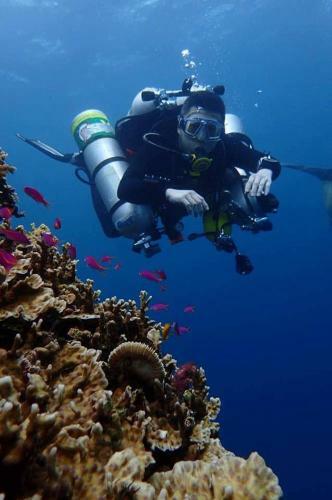 Hotel Bohol Panglao Alona Relax Divers Resort