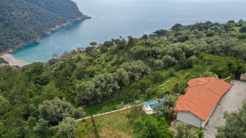 Villa Alemdaro?lu Secret Garden