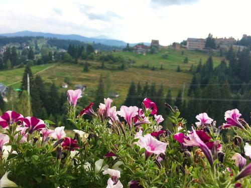 Agroturismo Villa_vovkal