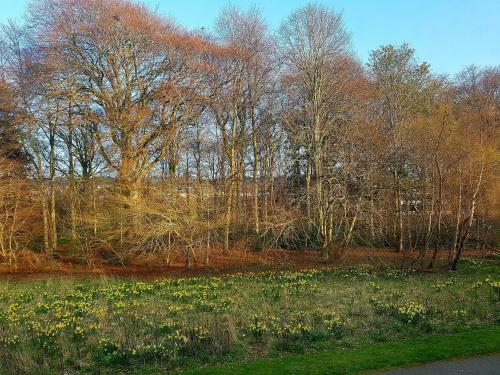 Culduthel Vista Apartment