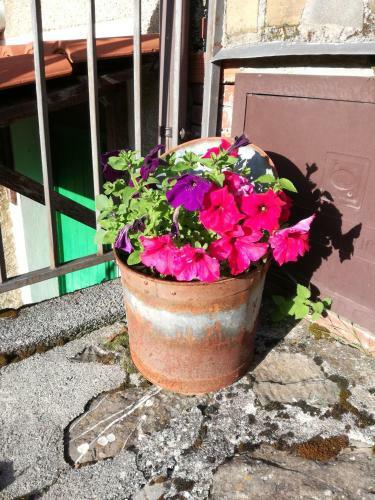 Hostal Residence Il Varco Del Pollino