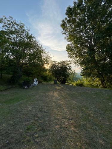 Casa Singola Immersa Nel Verde