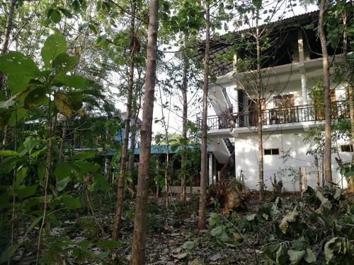 Hostal Nature House
